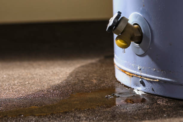 Best Flood restoration services  in Monmouth, IL