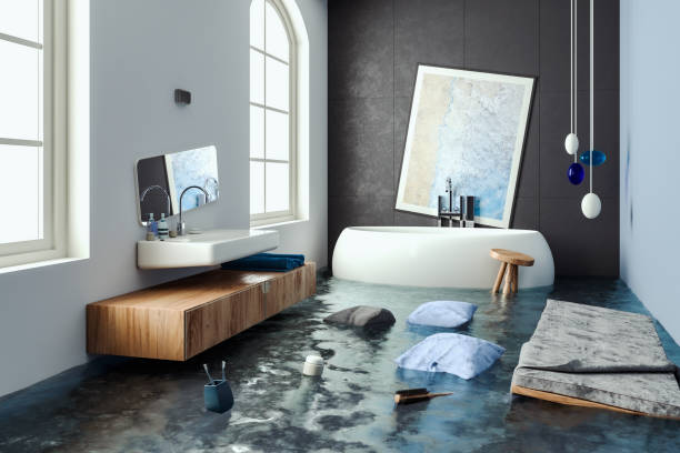 Best Commercial water damage restoration  in Monmouth, IL