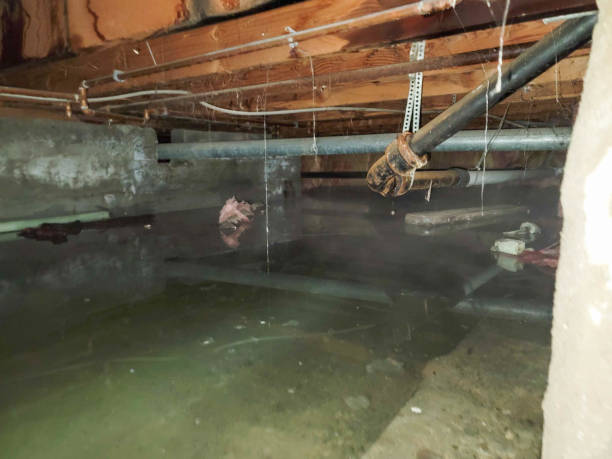 Water damage restoration experts in Monmouth, IL