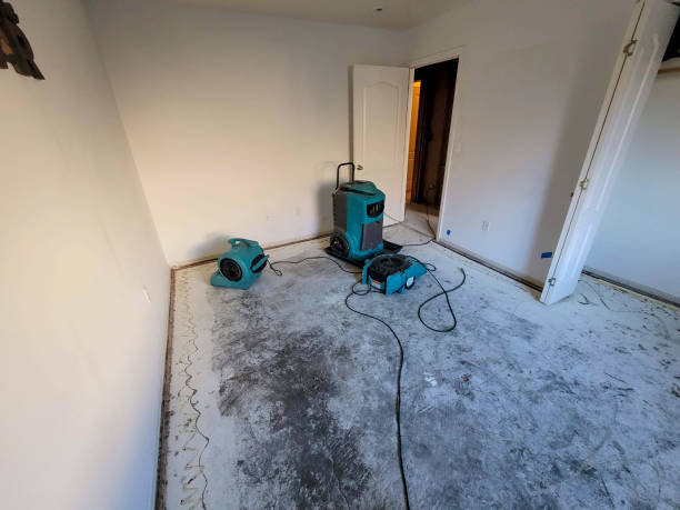 Best Mold removal after water damage  in Monmouth, IL