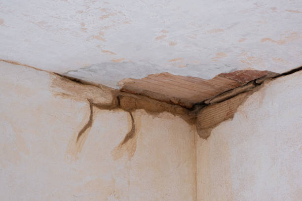 Best Carpet water damage restoration  in Monmouth, IL