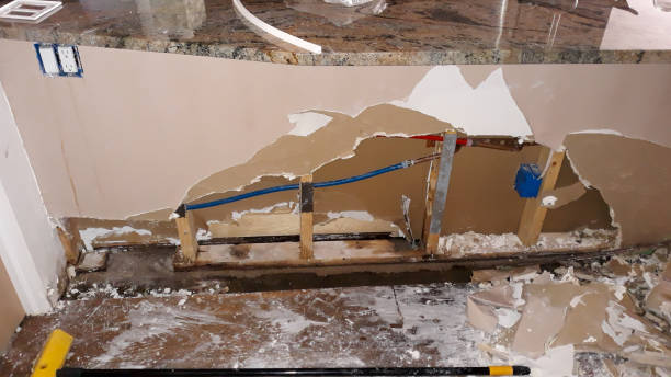 Best Water damage restoration cost  in Monmouth, IL