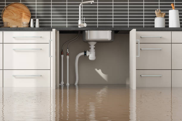 Best Ceiling water damage repair  in Monmouth, IL