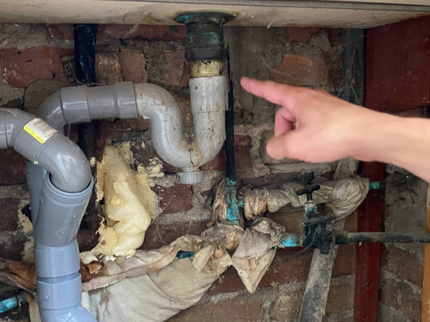 Best Water damage restoration experts  in Monmouth, IL