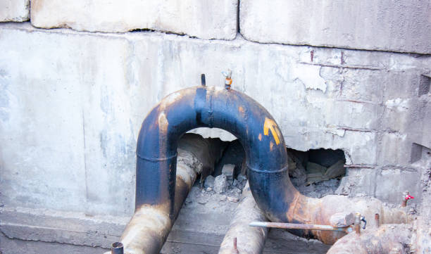 Best Basement water damage restoration  in Monmouth, IL