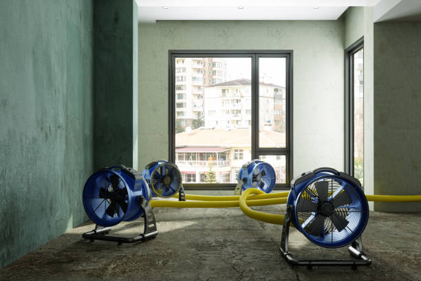 Best Local water damage restoration  in Monmouth, IL